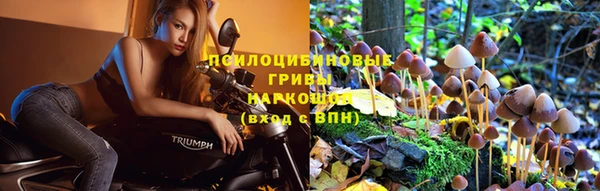 mix Алексин